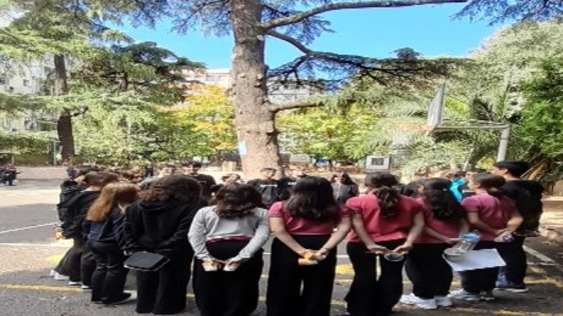 YEŞİL VATAN- Benim Okulum Geleceğe Çare